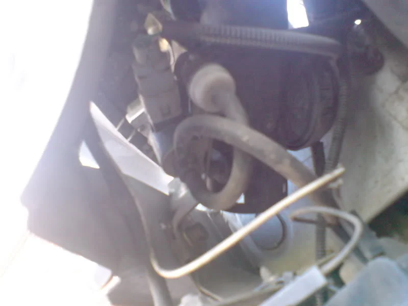 DSC00451.webp