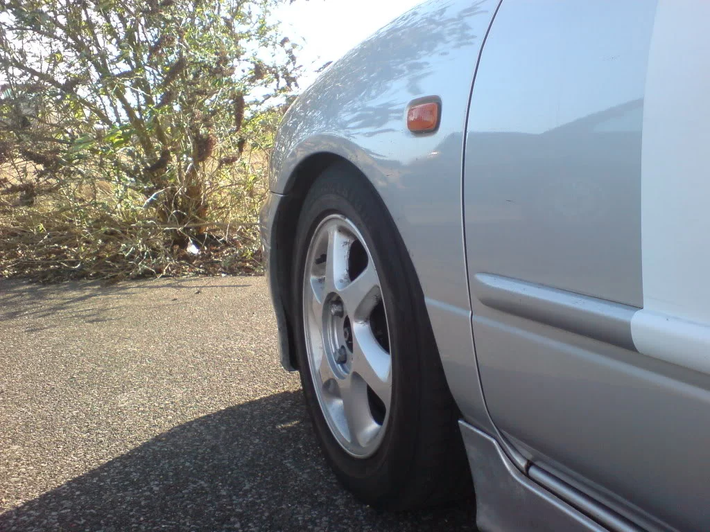 DSC00452.webp