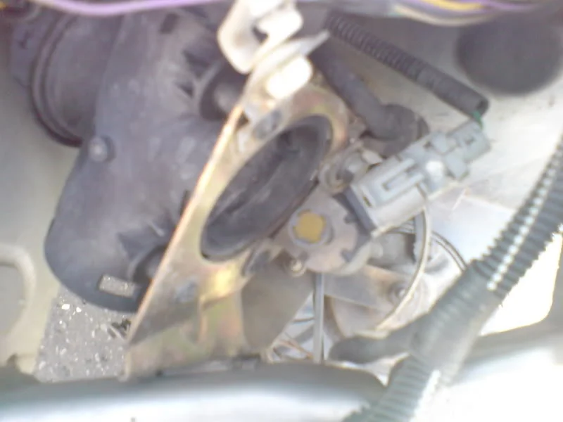 DSC00454.webp