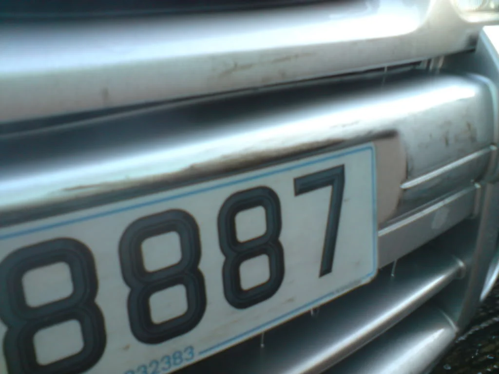 DSC00454.webp