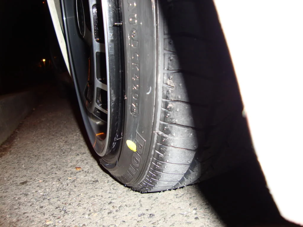 DSC00456.webp