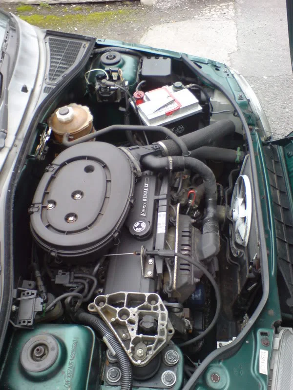 DSC00457.webp