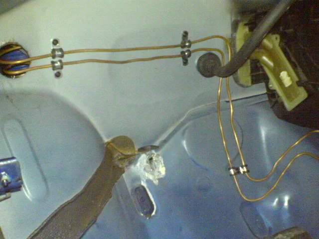 DSC00461.webp