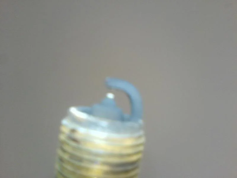 DSC00466.webp