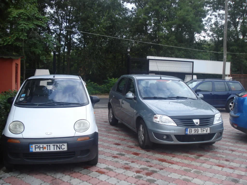 DSC00467.webp