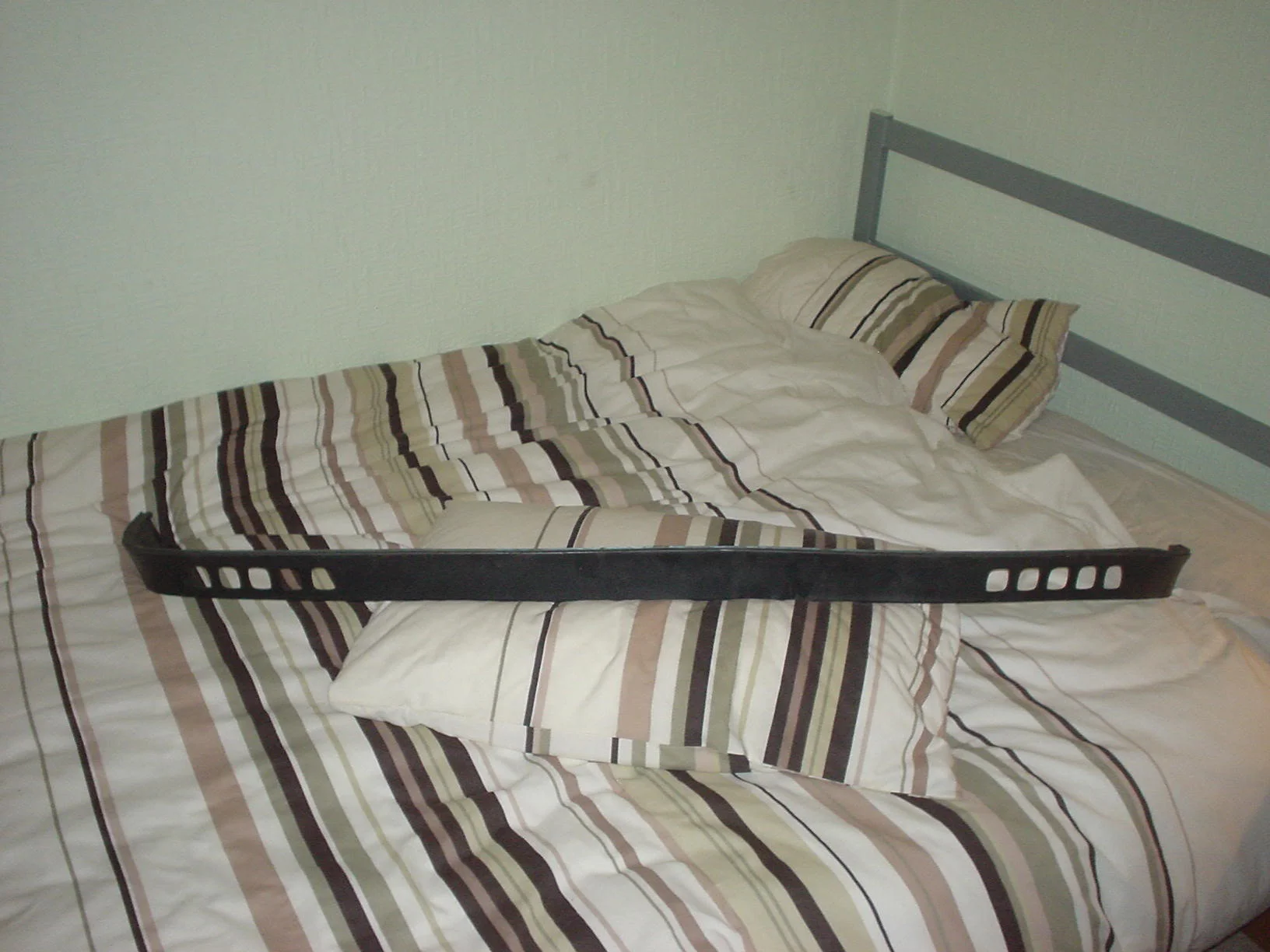 DSC00472.webp