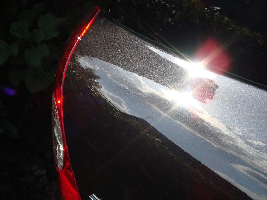 DSC00475.jpg DSC00475.jpg