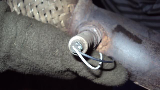 DSC00475.jpg