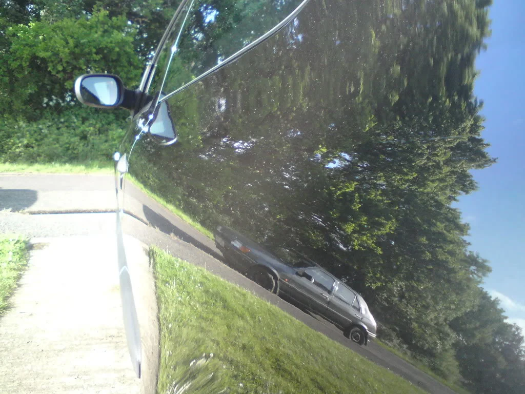 DSC00475.webp