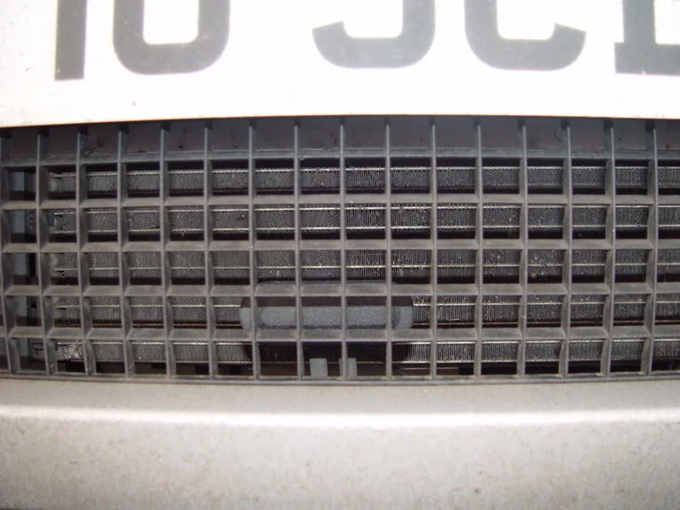 DSC00486.webp