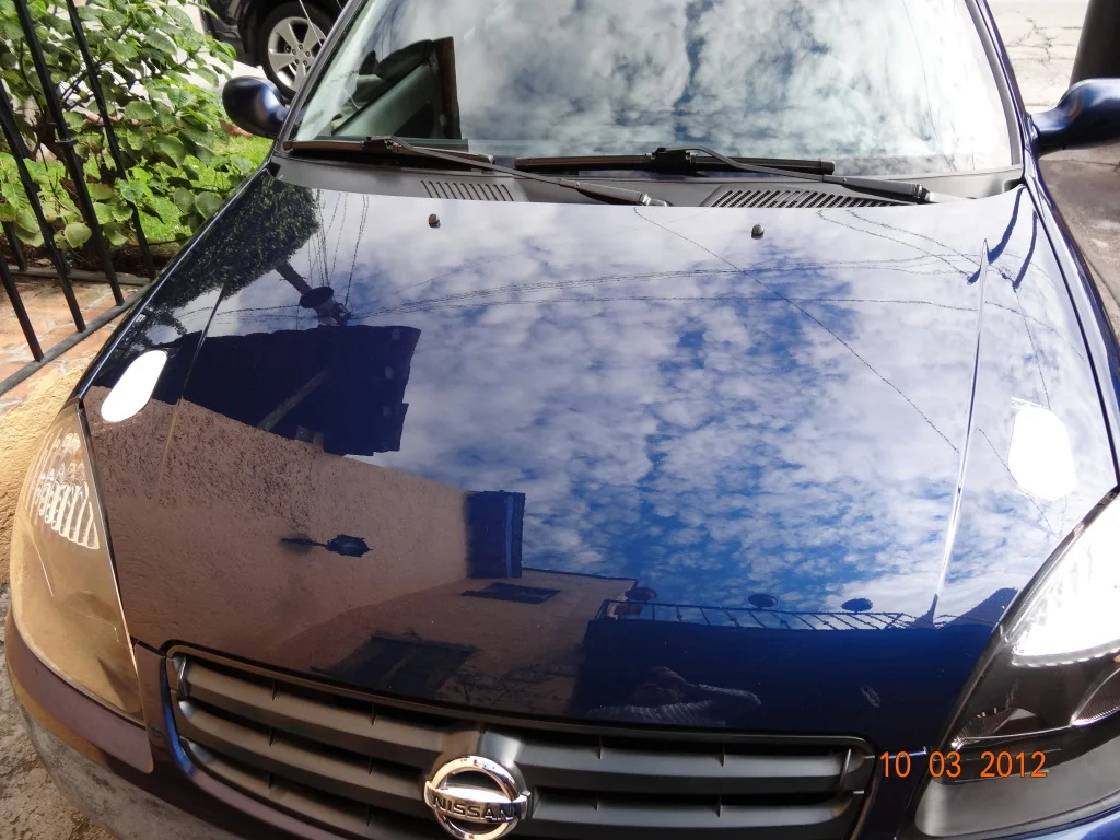 DSC00491.webp