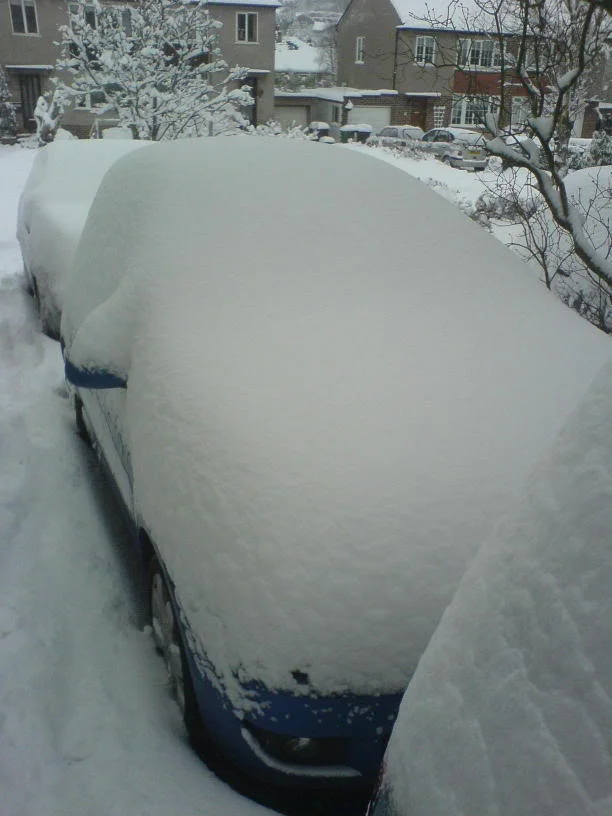 DSC00498.webp