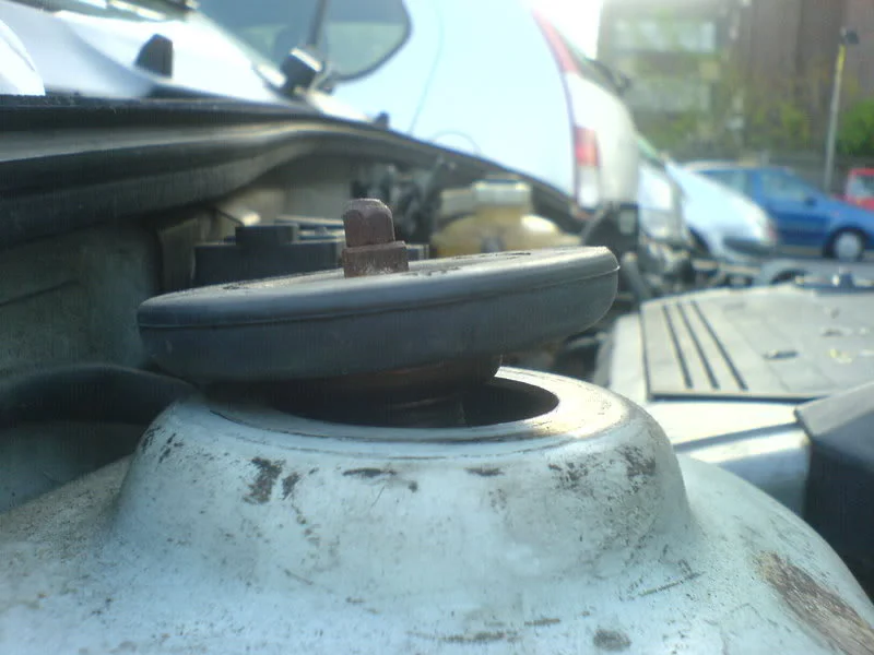 DSC00511.webp