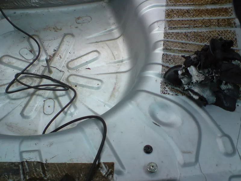 DSC00524.webp