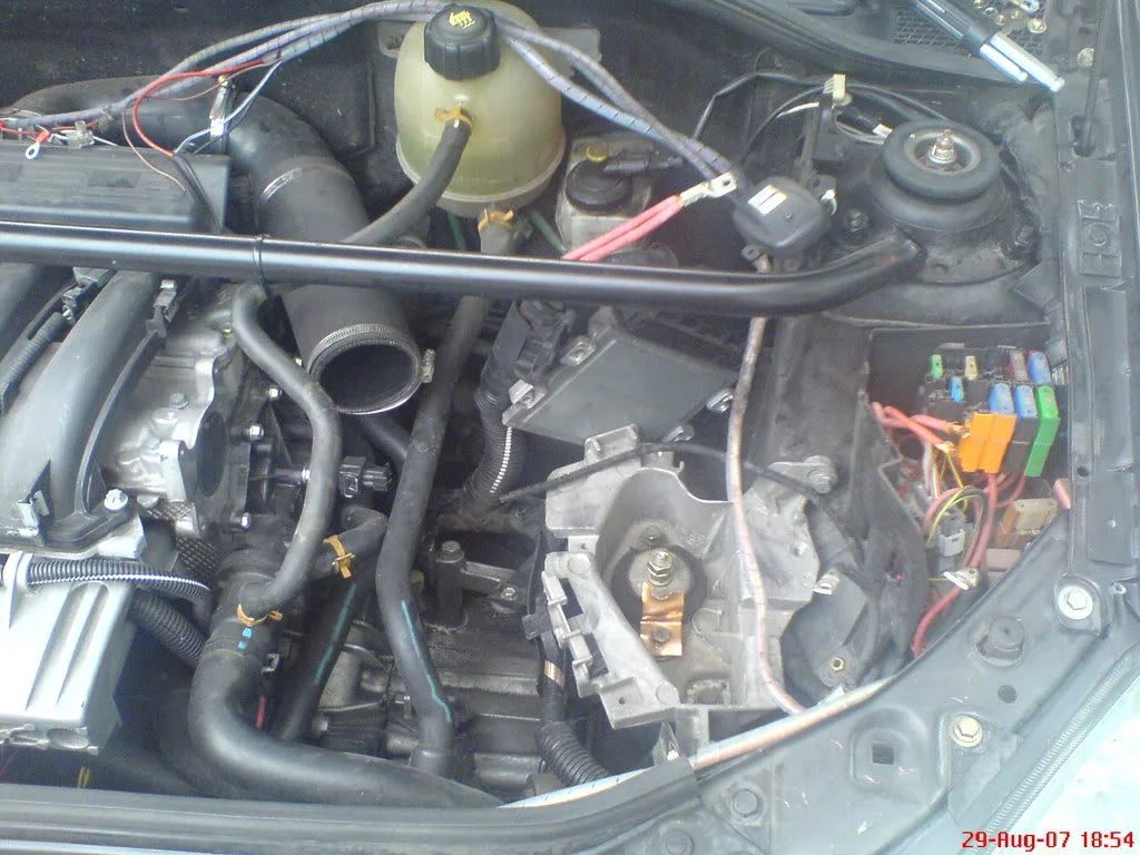 DSC00527.webp