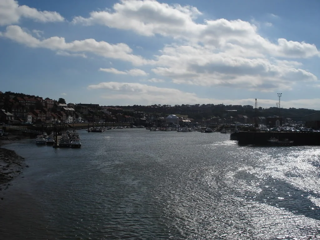 DSC00551.webp