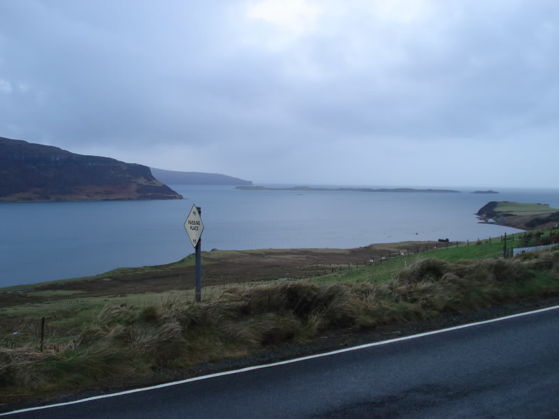 DSC00554.jpg