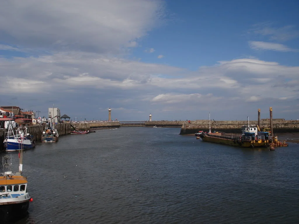 DSC00555.webp