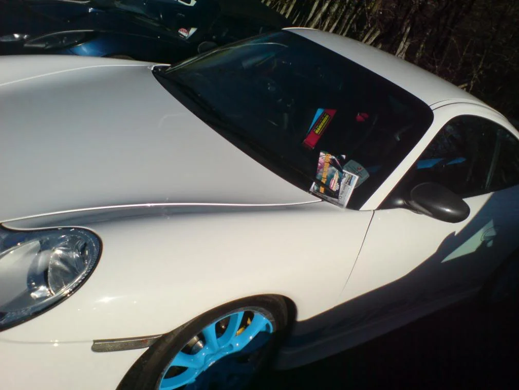 DSC00559.webp