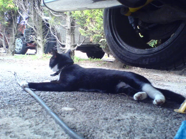 DSC00562.webp