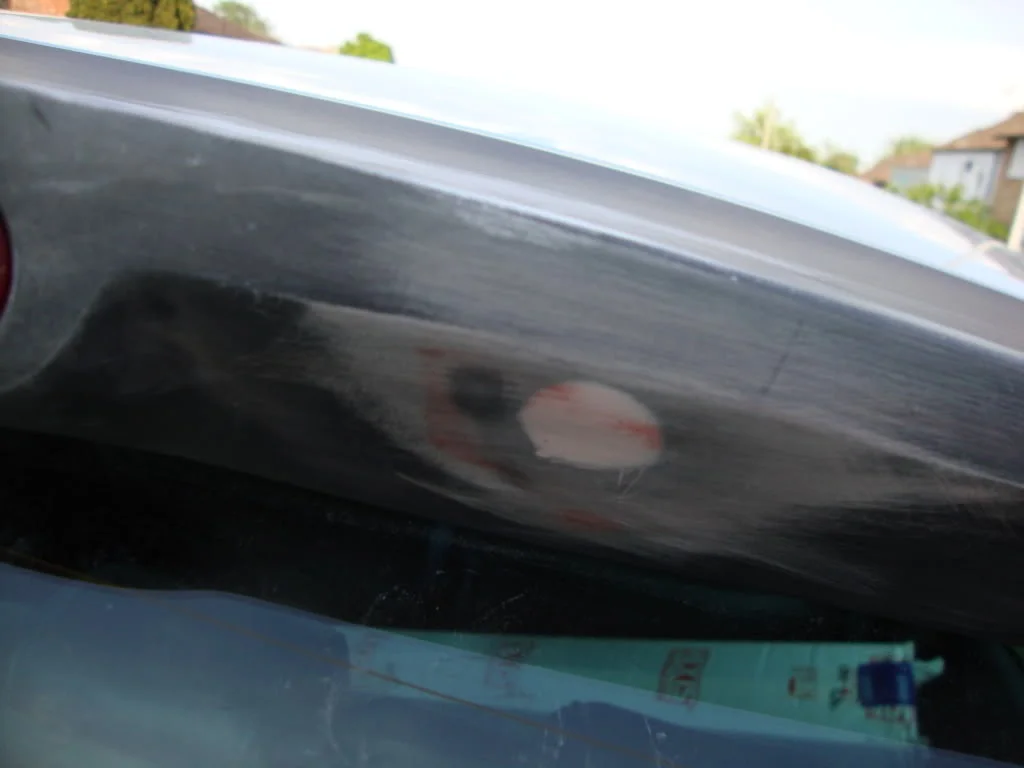 DSC00562.webp