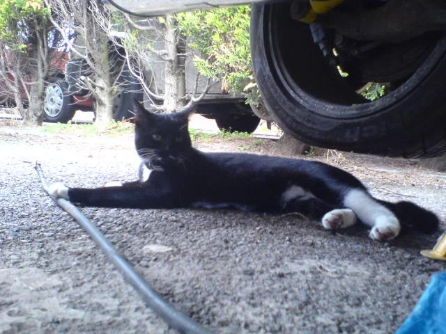 DSC00563.webp