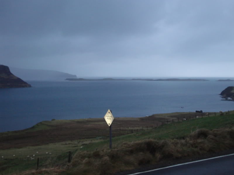 DSC00564.jpg