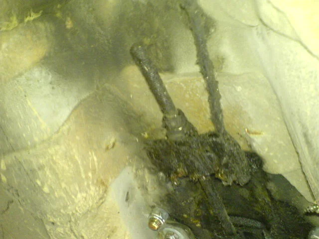 DSC00564.webp
