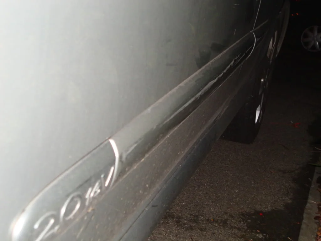 DSC00564.webp