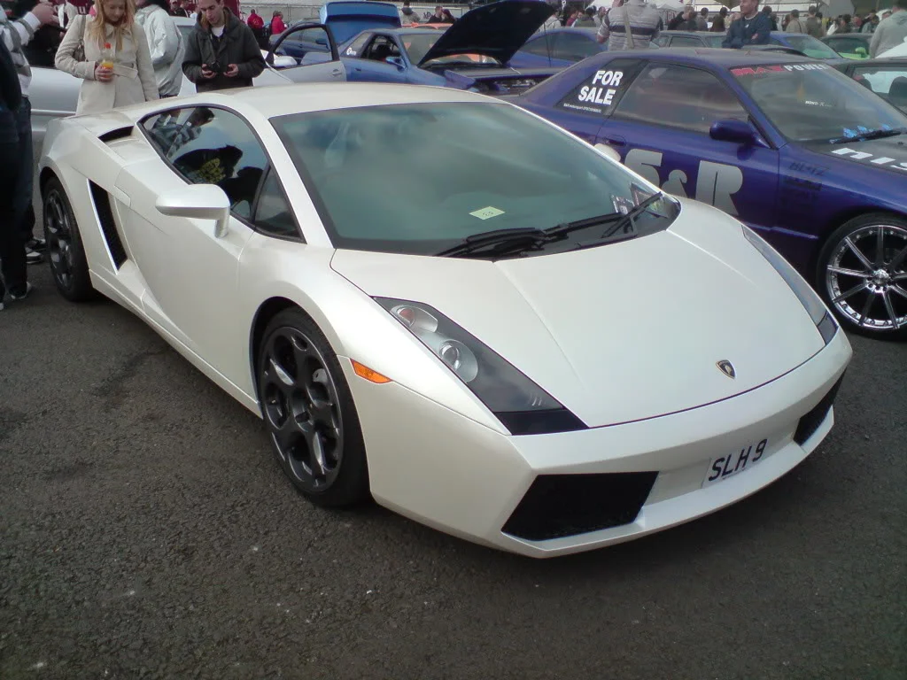 DSC00566.webp