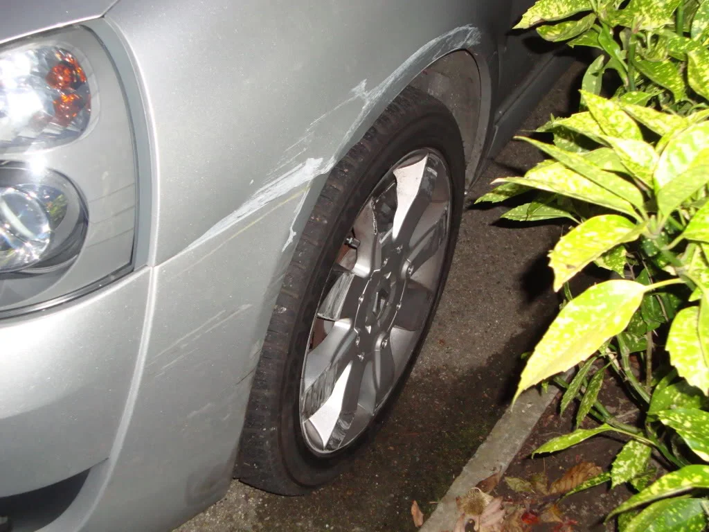 DSC00566.webp