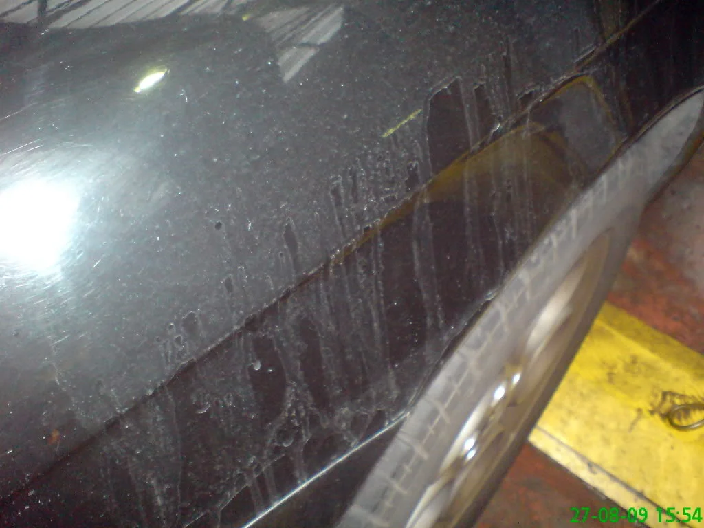 DSC00569.webp