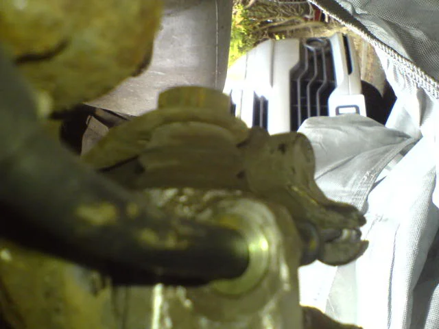 DSC00572.webp