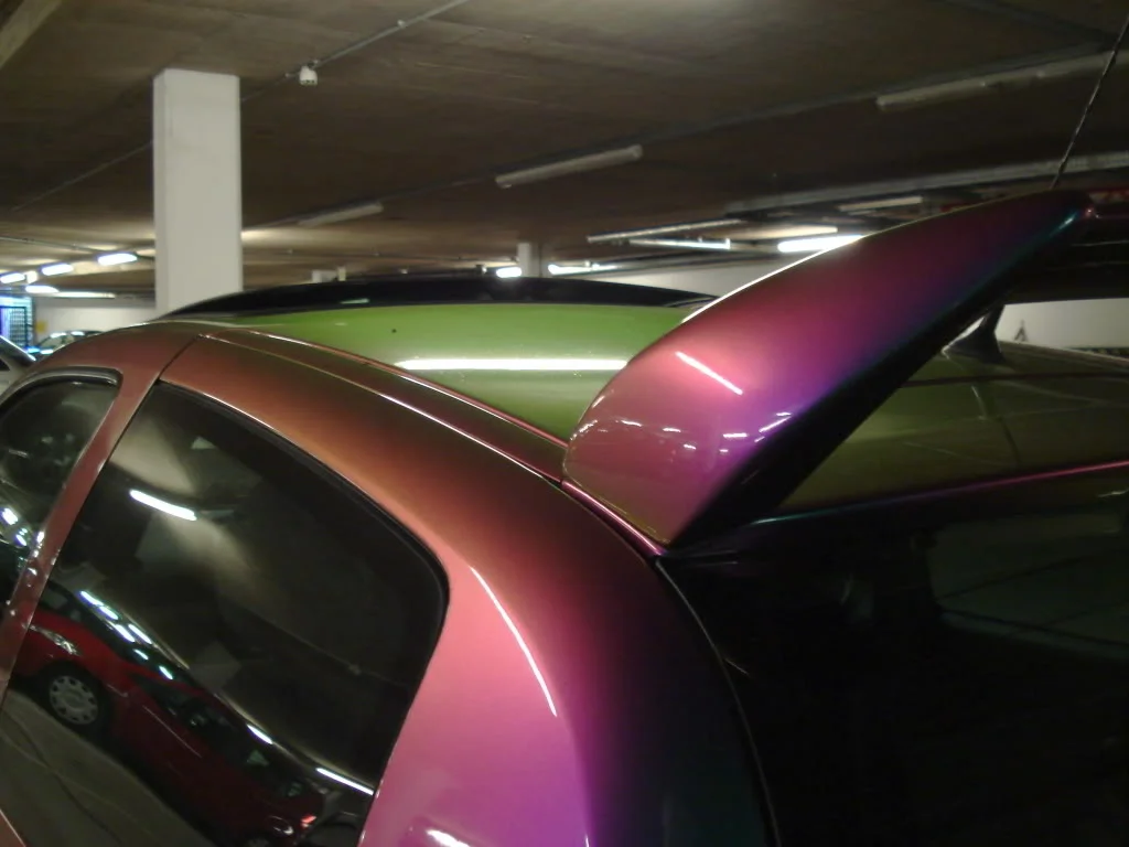 DSC00576.webp