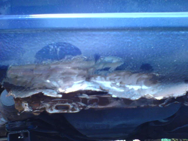 DSC00580.webp