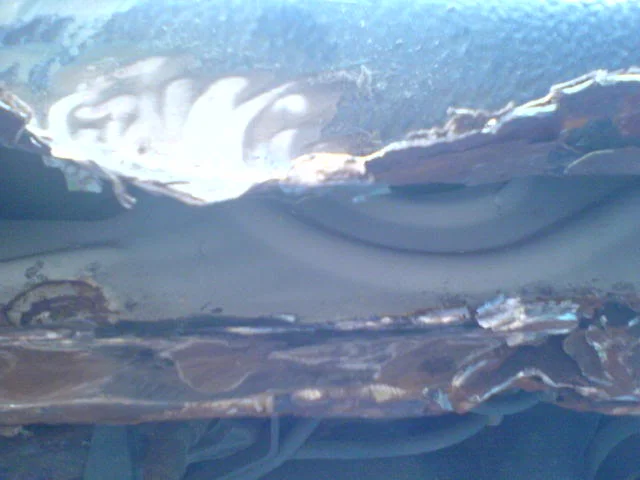DSC00581.webp