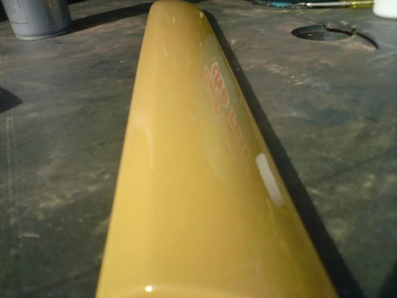 DSC00584.webp