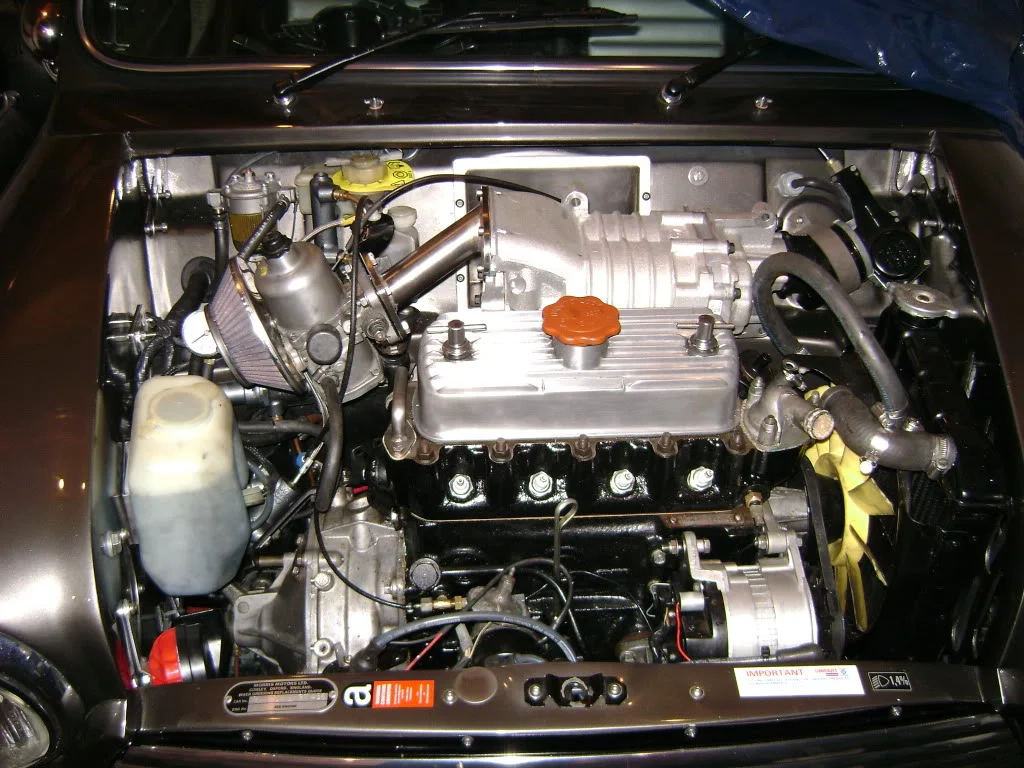 DSC00591.webp