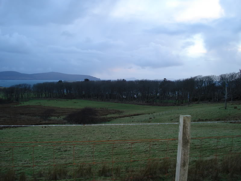 DSC00599.jpg