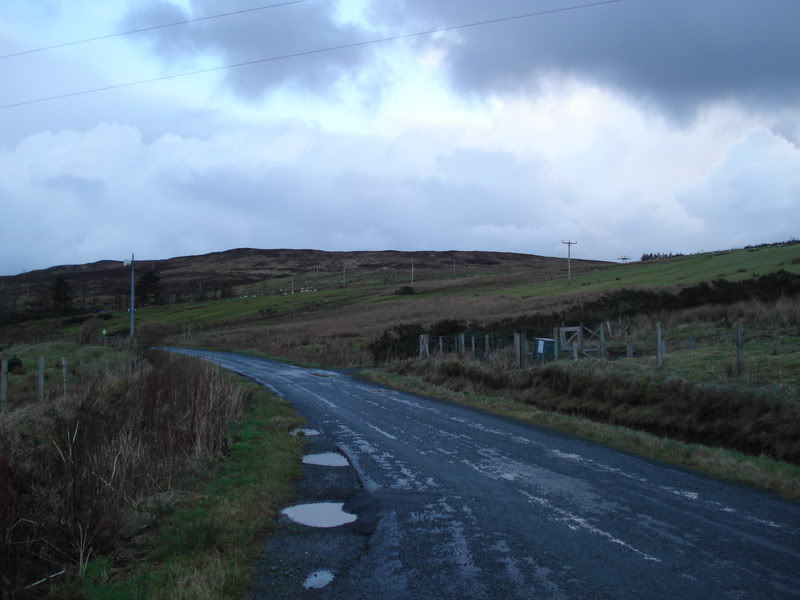 DSC00600.jpg
