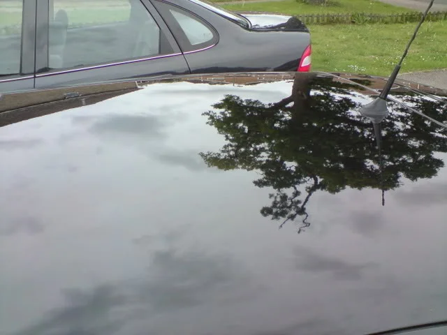 DSC00605.webp