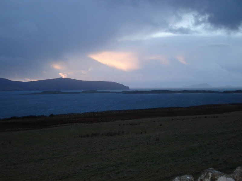 DSC00606.jpg