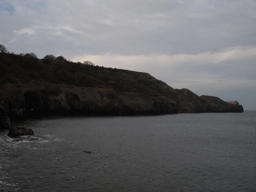 DSC00609.webp