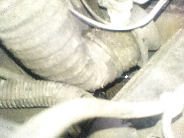 DSC00609.webp