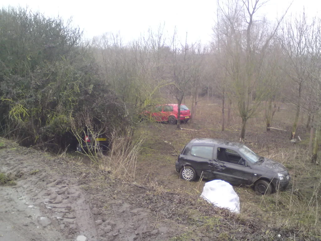 DSC00610.webp