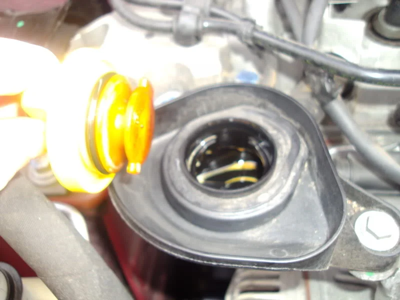 DSC00615.webp