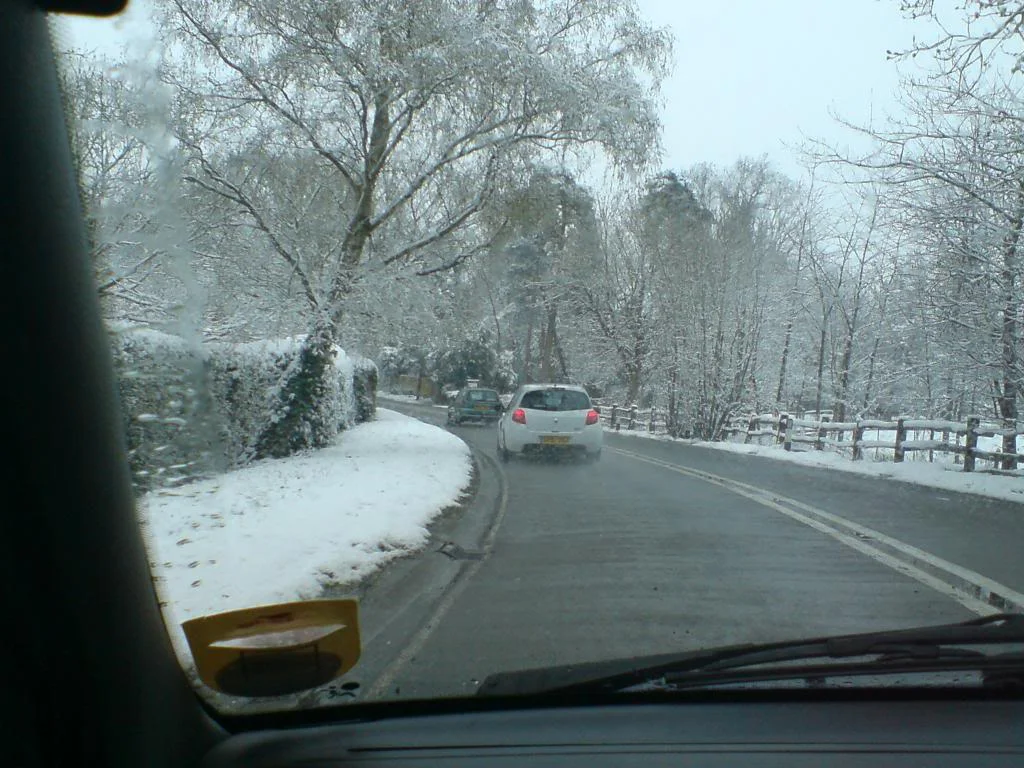 DSC00620.webp