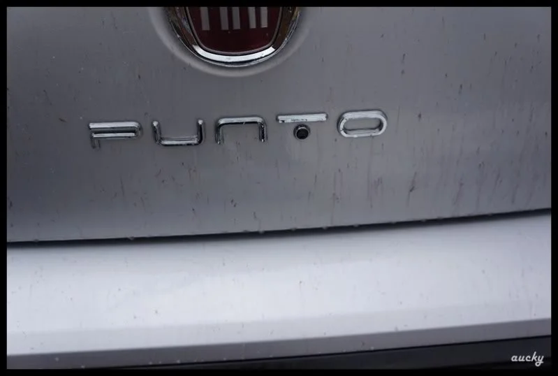 DSC00623Copy.webp