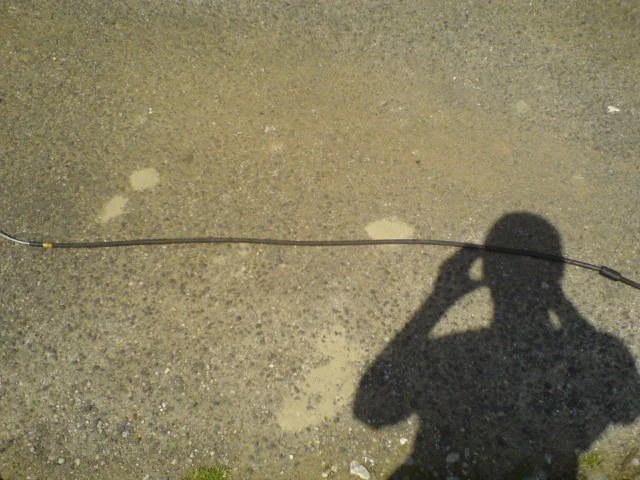 DSC00654.webp