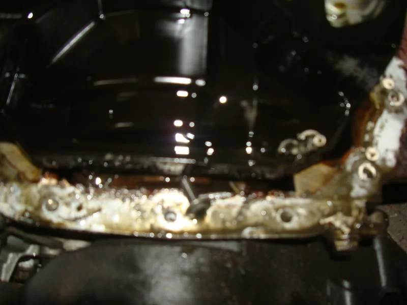 DSC00666.webp
